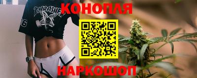 гидропоника Гусев