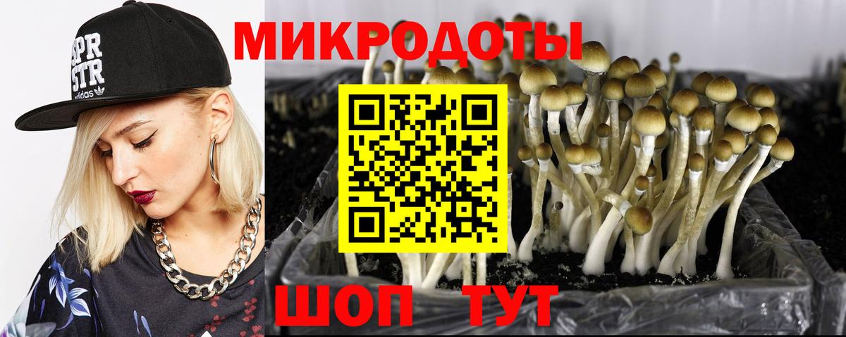 Псилоцибиновые грибы мухоморы  Псилоцибиновые грибы GOLDEN TEACHER  Вход с VPN  Владивосток 